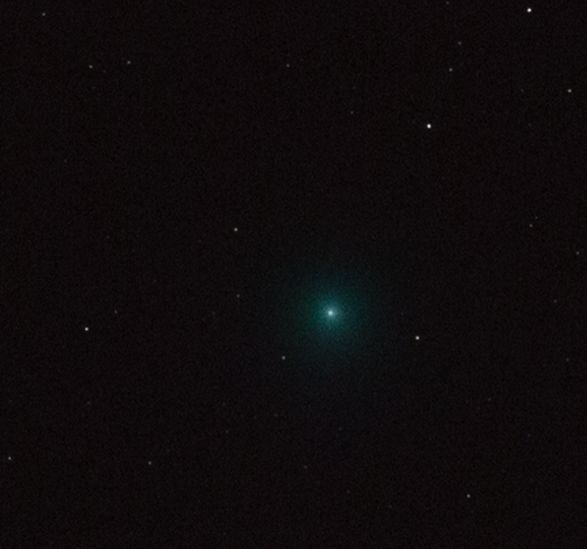 Comet-LovejoyIMG_9899_r