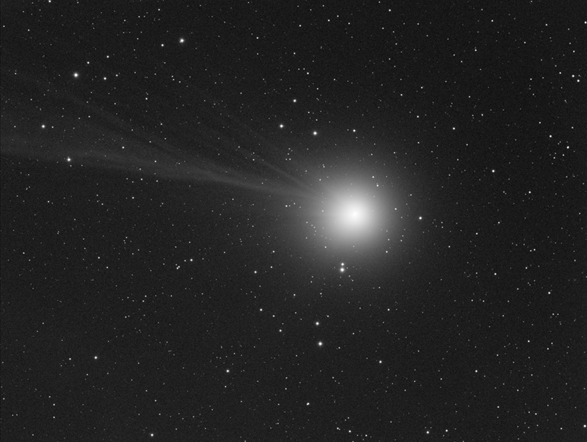Luminance Animation of Comet Lovejoy C/2014 Q2